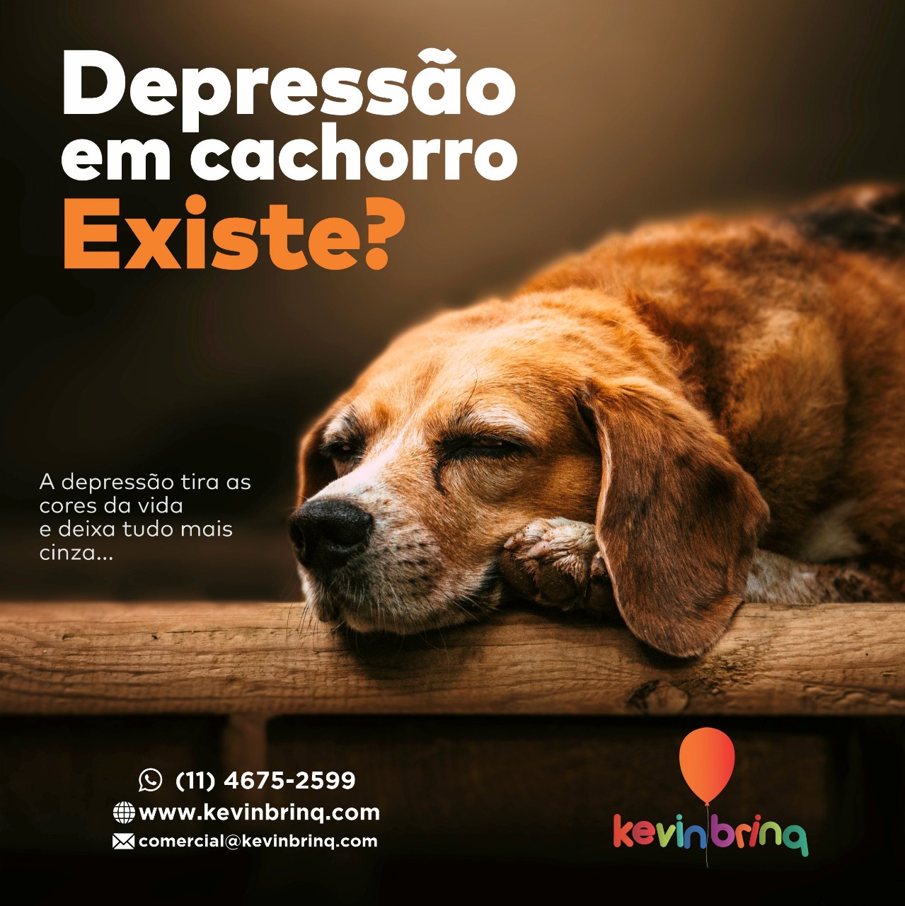 depressão em cachorro existe.